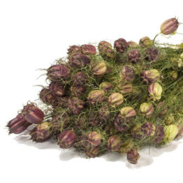 NIGELLA