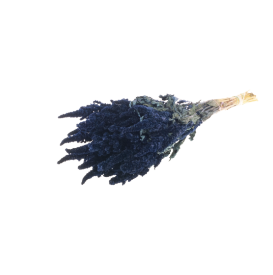 Amaranthus (2.2lbs - 11lbs) - Image 3